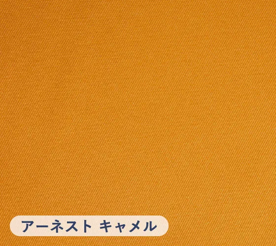 cloth_block1_ernest_slide04
