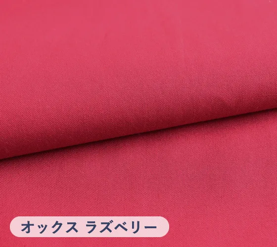 cloth_block1_oxford_slide03